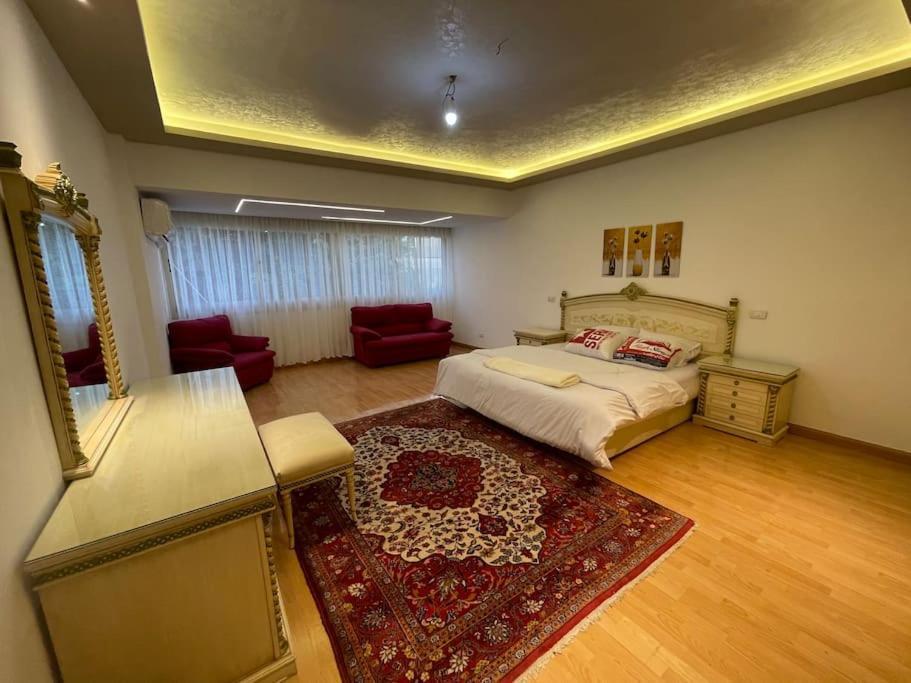 Apartment Modern Open View Sunny Bright