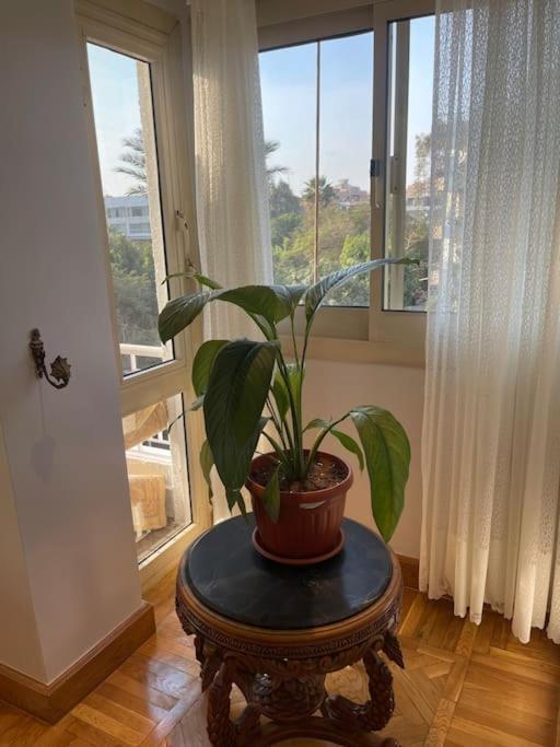 Apartment Modern Open View Sunny Bright *