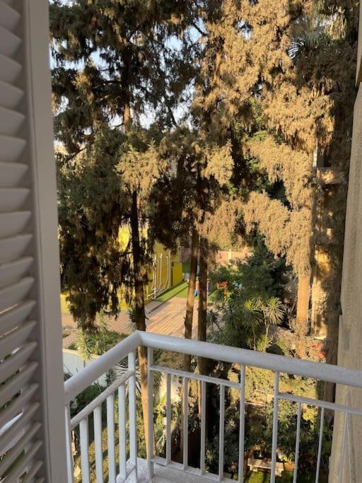 Modern Open View Sunny Bright Apartment *