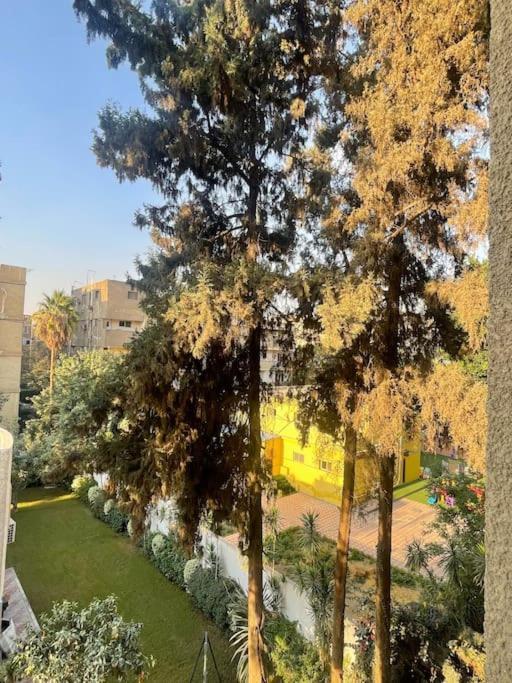 Modern Open View Sunny Bright *