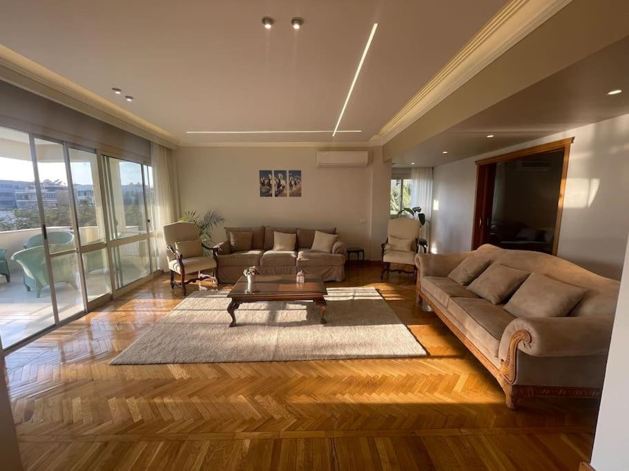 Modern Open View Sunny Bright Apartment